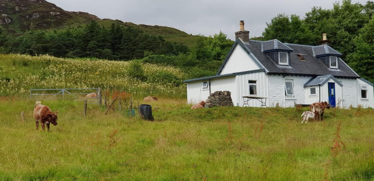 Isle Of Carna, Secluded Scottish Island, Loch Sunart Villa Acharacle Eksteriør billede