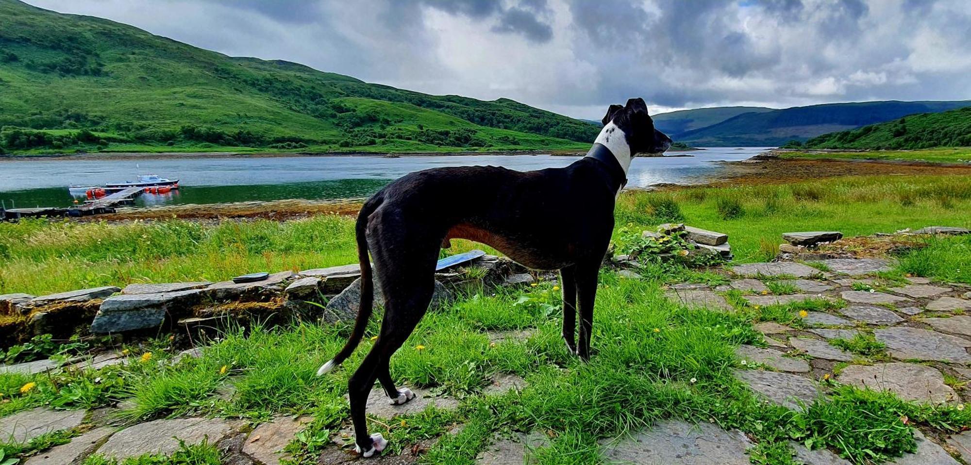 Isle Of Carna, Secluded Scottish Island, Loch Sunart Villa Acharacle Eksteriør billede